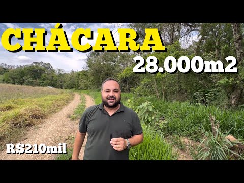 Chácara à venda em Ibaiti - PR — CHÁCARA ÓTIMA EM IBAITI-PR COM 28.000m2 TERRA BOA R$210mil (REF #220)