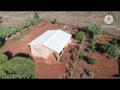 Chácara à venda em Siqueira Campos - PR — CHÁCARA PLANA + POMAR + TERRA VERMELHA + CASA R$150mil (REF #462)