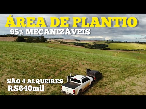 Chácara à venda em Siqueira Campos - PR — SÍTIO DE PLANTIO - 4 ALQUEIRES OPORTUNIDADE R$640mil (REF #503)