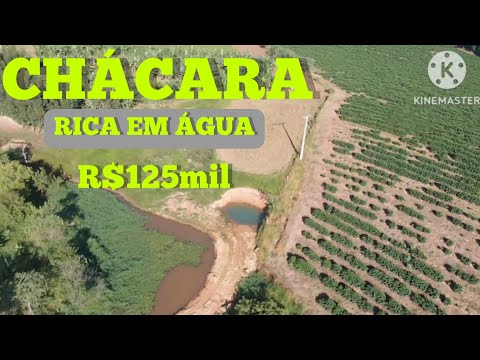 Chácara à venda em Siqueira Campos - PR — CHÁCARA+RICA ÁGUA+OPORTUNIDADE R$125mil (REF #534)