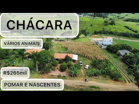 Chácara à venda em Jaboti - PR — CHÁCARA EM JABOTI-PR MUITAS FRUTAS + REPRESA E NASCENTE R$265mil (REF #549)