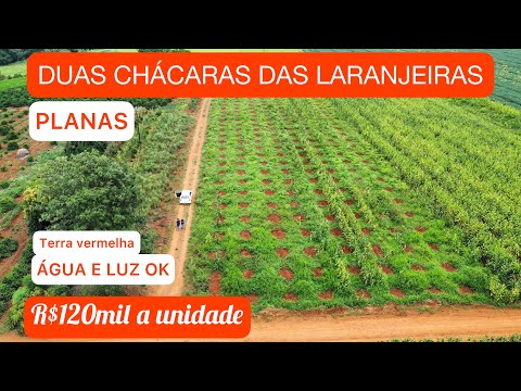 Chácara à venda em Siqueira Campos - PR — CHÁCARAS DAS 🍊 LARANJEIRAS + ÁGUA E LUZ 👍🏼R$120mil a UNIDADE (REF #553)